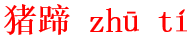 zhu1ti2